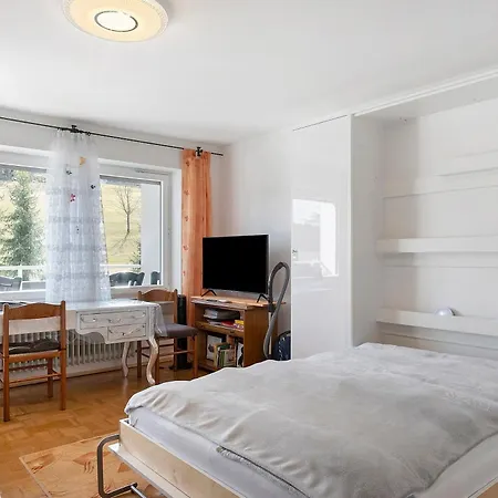 Apartamento Schwarzwaldhaeuser *